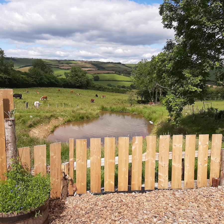 Foxglove Accommodation Craven Arms Luaran gambar
