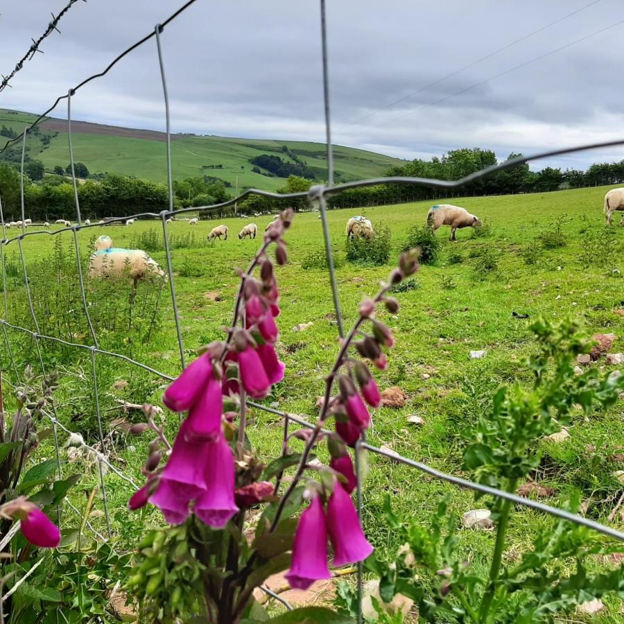 Foxglove Accommodation Craven Arms Luaran gambar