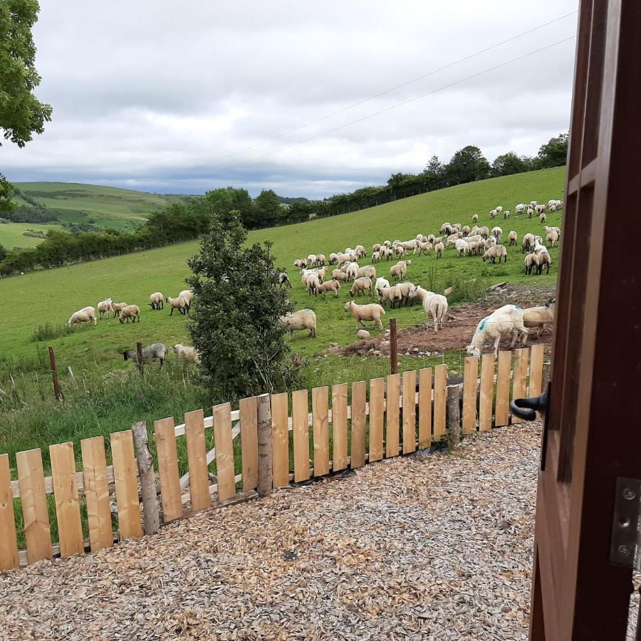 Foxglove Accommodation Craven Arms Luaran gambar